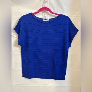 Blue short sleeve sweater top
